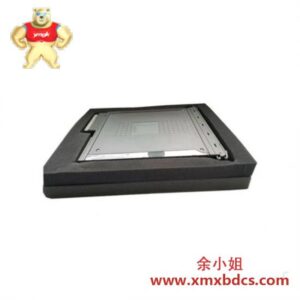 ICS Triplex T8432 双模拟输入模块