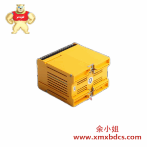 雷林斯812.06.001 控制卡 模拟输入模块