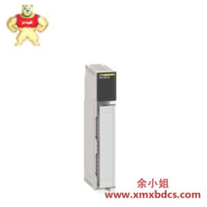 施耐德电气 Schneider 140CPS22400 冗余电源模块 Modicon Quantum