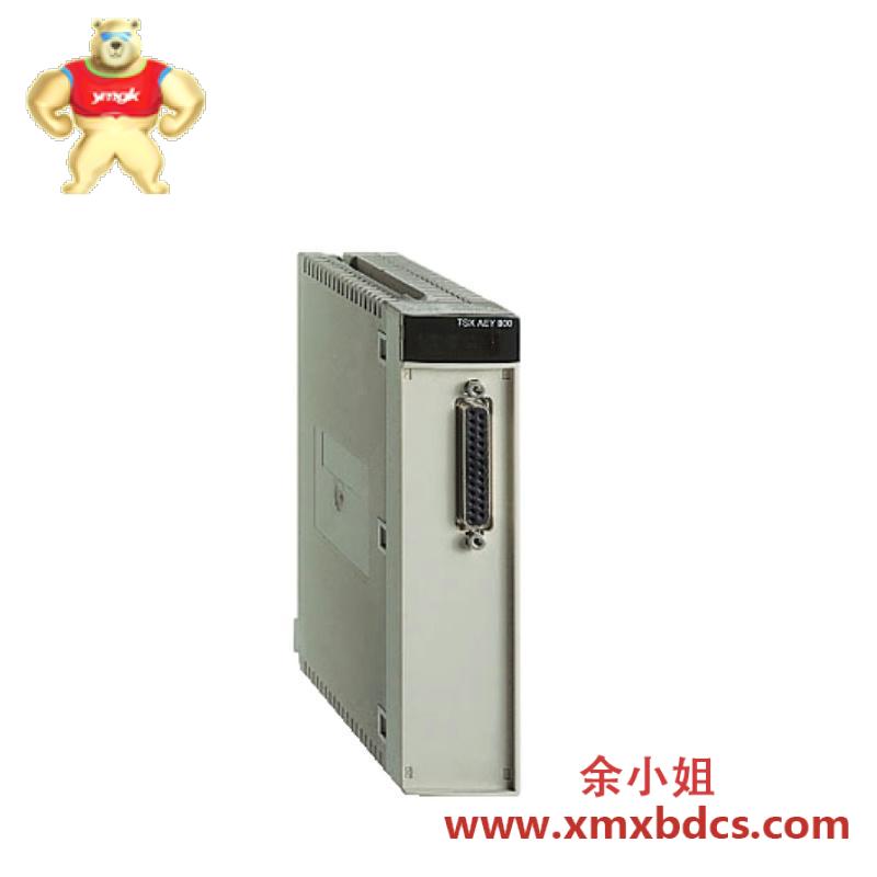 schneider_tsxaey420_fast_analog_input_module.jpg 施耐德 TSXAEY420 高速模拟输入模块