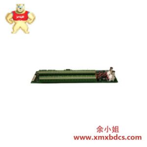 威洛特CAS200 CLS216 控制模块