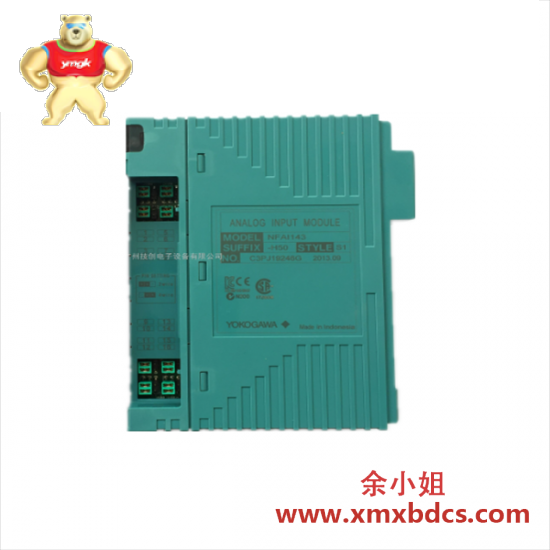 yokogawa_nfai543_analog_output_module.png YOKOGAWA NFAI543 模拟输出模块