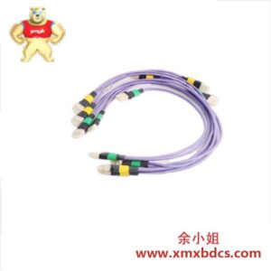 霍尼韦尔 51195119-020 工业自动化控制模块