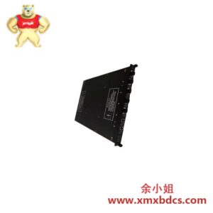 TRICONEX AI3281模拟输入模块,工业自动化专用