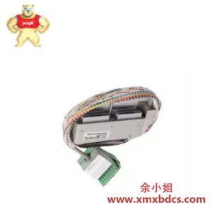 FOXBORO P0400TH-F 高精度工业控制模块