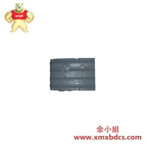 sew_dfs56l_tf_rh1m_kk_1.jpg SEW-Eurodrive DFS56L/TF/RH1M/KK 直驱伺服电机模块