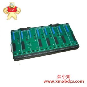 EMERSON Emerson DeltaV VE4050S2K1 控制模块