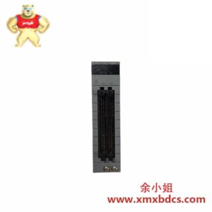 YOKOGAWA 尤格瓦 NFDV561-P01 数字输出模块