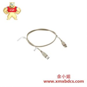 ABB 3HAC021975-001 数据线-DSQC604/计算机单元USB