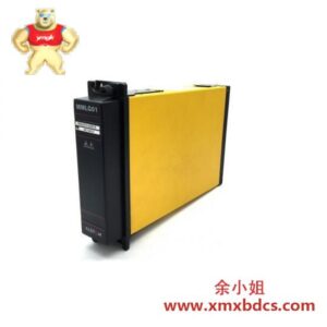 ALSTOM MMLG01 模块控制器