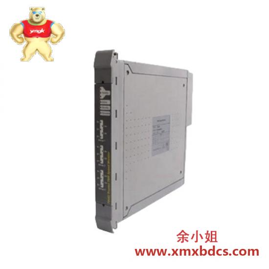 t8312_ics_triplex_trusted_extended_interface_adapter_unit.jpg ICS Triplex T8312 扩展接口适配器单元