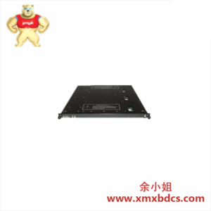 Triconex 7400169-310 9962-1XX 输出模块
