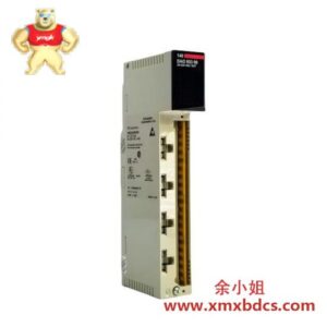 施耐德 Schneider TSXMRPP224K Modicon TSX Micro PLC 控制器