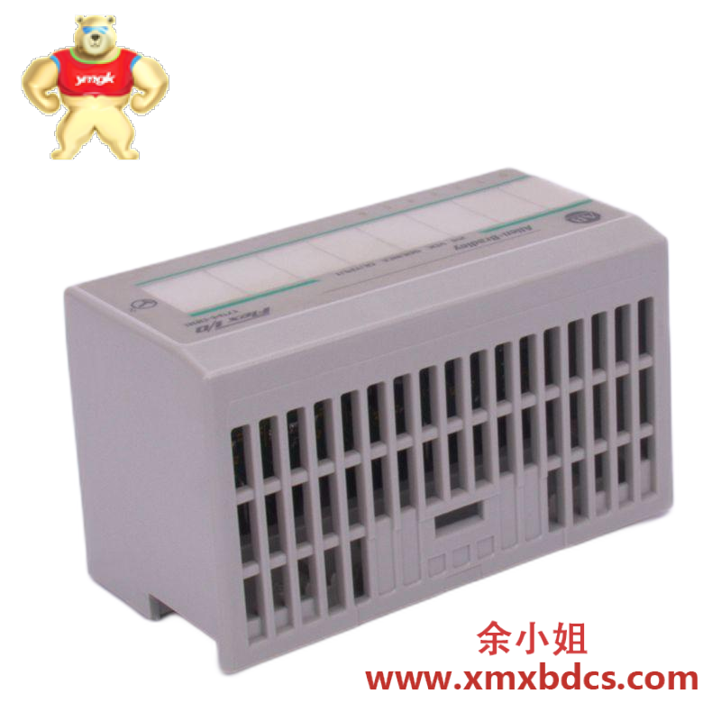 alstom_42011-106-00_itc_viom_vioc_2.png ALSTOM 42011-106-00 ITC_VIOM_VIOC 模块卡