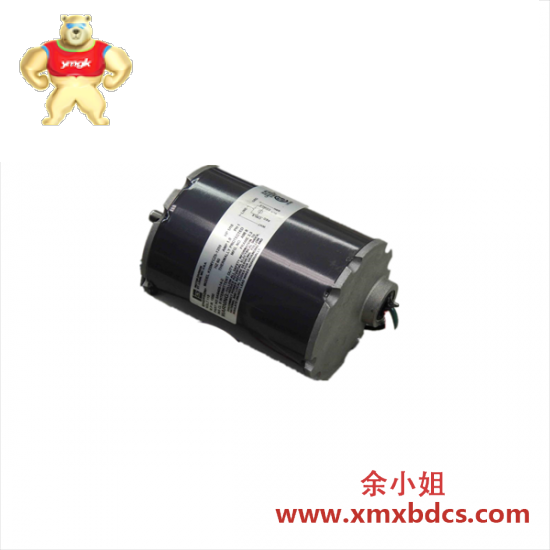emerson_k33myczs-1259_motor_1_10_hp_1550_rpm.png 艾默生 K33MYCZS-1259 电机 1/10马力 1550转/分钟