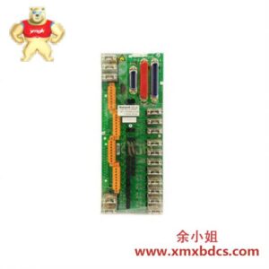 霍尼韦尔 HONEYWELL MC-TDOY23 51204166-175 数字输出继电器FTA