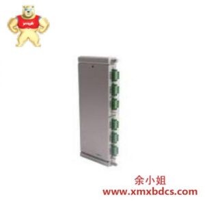 Bently Nevada 125065-30 高精度振动监测模块