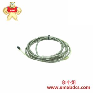 Bently Nevada 4454-132 铠装热电偶传感器