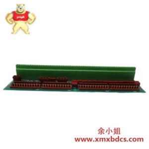 GE GE FANUC DS200DTBCG1AAA 连接继电器终端板