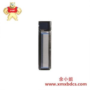 西门子 PLC 1394-019-910/74102-183-13 数字输入模块