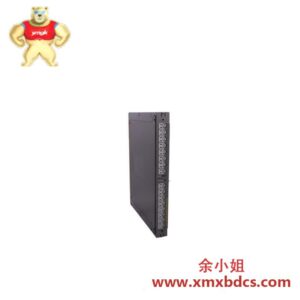 ICS Triplex T811B 模块