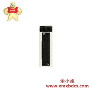 施耐德 Schneider BMXDDM16025 混合型离散输入输出模块