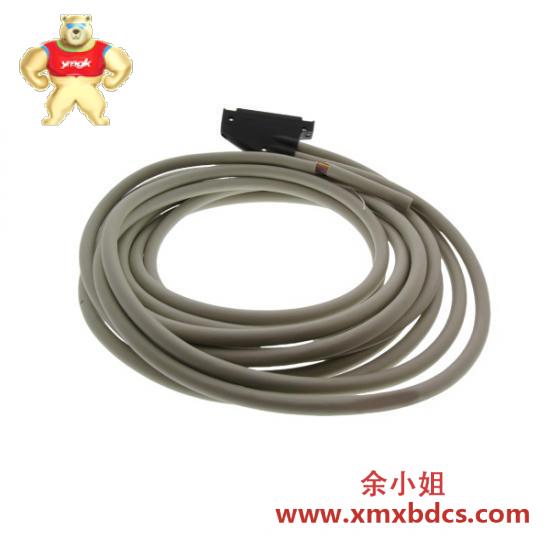 schneider_bmxfcc503_discrete_i_o_cable.jpg 施耐德 Schneider BMXFCC503 分布式I/O连接电缆