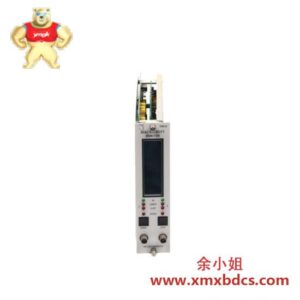 Bently Nevada 3300/55-08-01-18-18-00-02-02-00 监测器