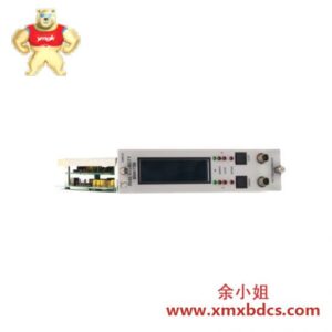 Bently Nevada 3300/55-08-01-18-18-00-02-02-00 监测器