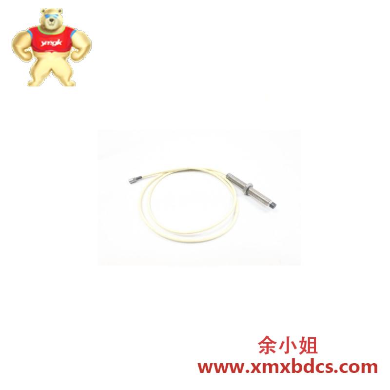 bently_nevada_22811-00-04-10-02_sensor.jpg BENTLY NEVADA 22811-00-04-10-02 传感器