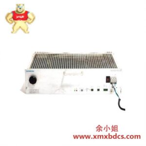 西门子 6DD1683-0CC5 工业电源供应器