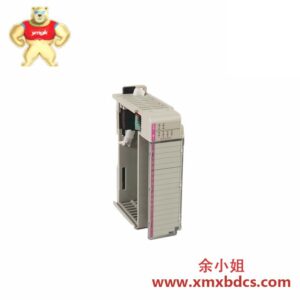 AB 1769-BOOLEANSPECIALTY MODULE 阿尔贝尓布尔逻辑专用模块