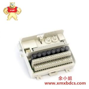 ABB 216DB61 HESG324063R100/J 控制模块