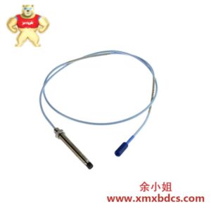 BENTLY NEVADA 330905-00-12-10-02-05 靠近传感器系统