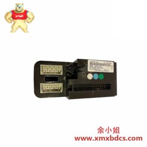 Emerson KJ3001X1-BG1 输出模块