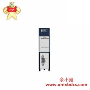 GE IC695PBM300 主控模块