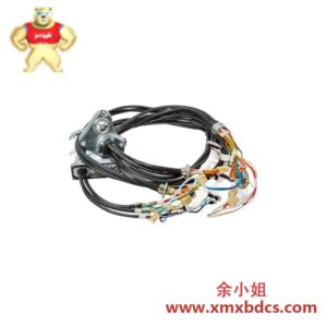 ABB 3HAC069651-001 工业级电缆束
