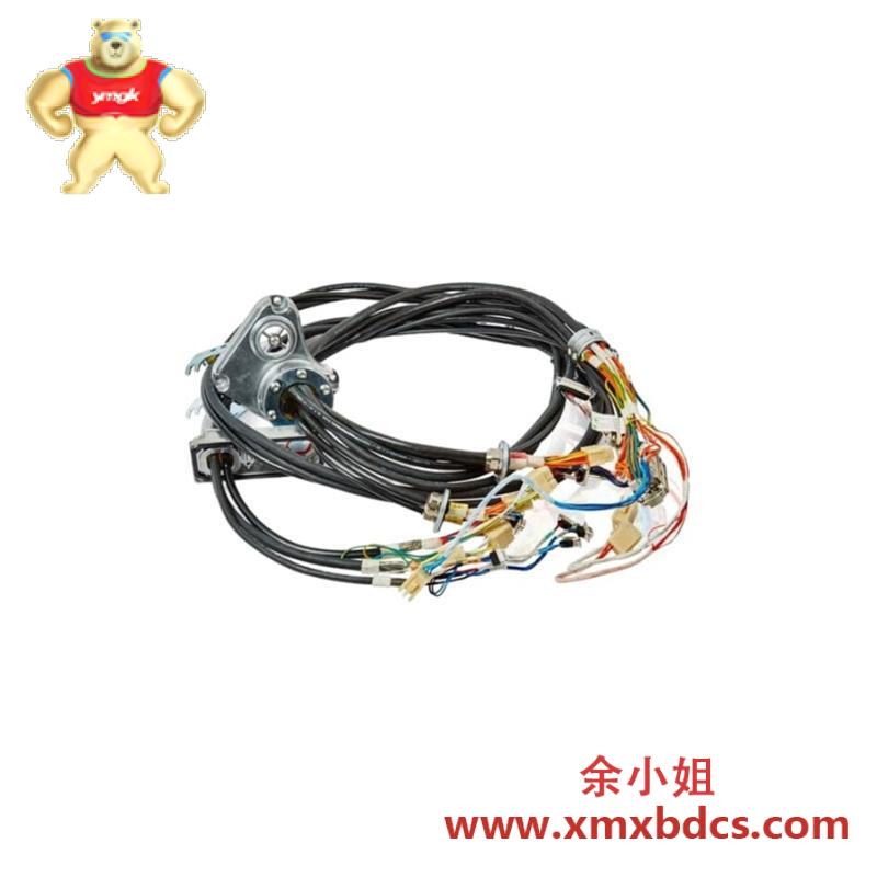 abb_3hac069651-001_cable_harness.jpg ABB 3HAC069651-001 工业级电缆束
