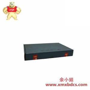 ABB 温度输入模块 GJR2389800R1210 81ET03ME