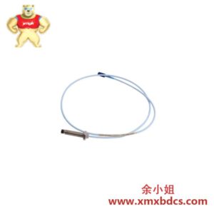 施耐德 RAMIX PMC008A 700502 工业级内存模块