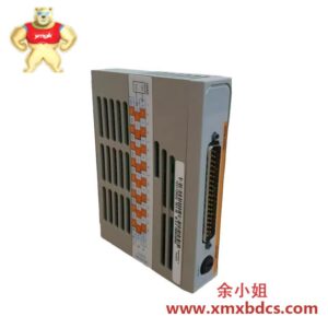 Emerson欧姆龙1C31125G02数字输出模块
