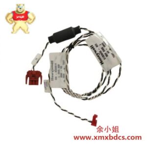 霍尼韦尔 51303420-622 状态电缆模块