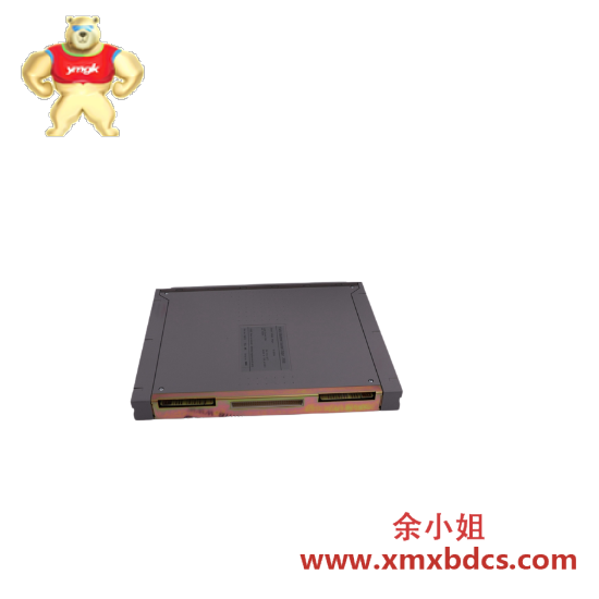 ics_triplex_9852_1.png ICS TRIPLEX 9852*1 工业控制专用模块