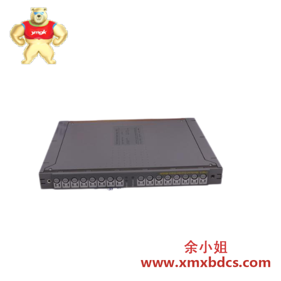 ics_triplex_9852_1_1.png ICS TRIPLEX 9852*1 工业控制专用模块