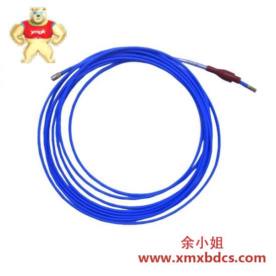 tm0181-085-00_bently_nevada_provibtech_extension_cable.jpg BENTLY NEVADA 330103-05-10-10-12-05 工业振动监测模块